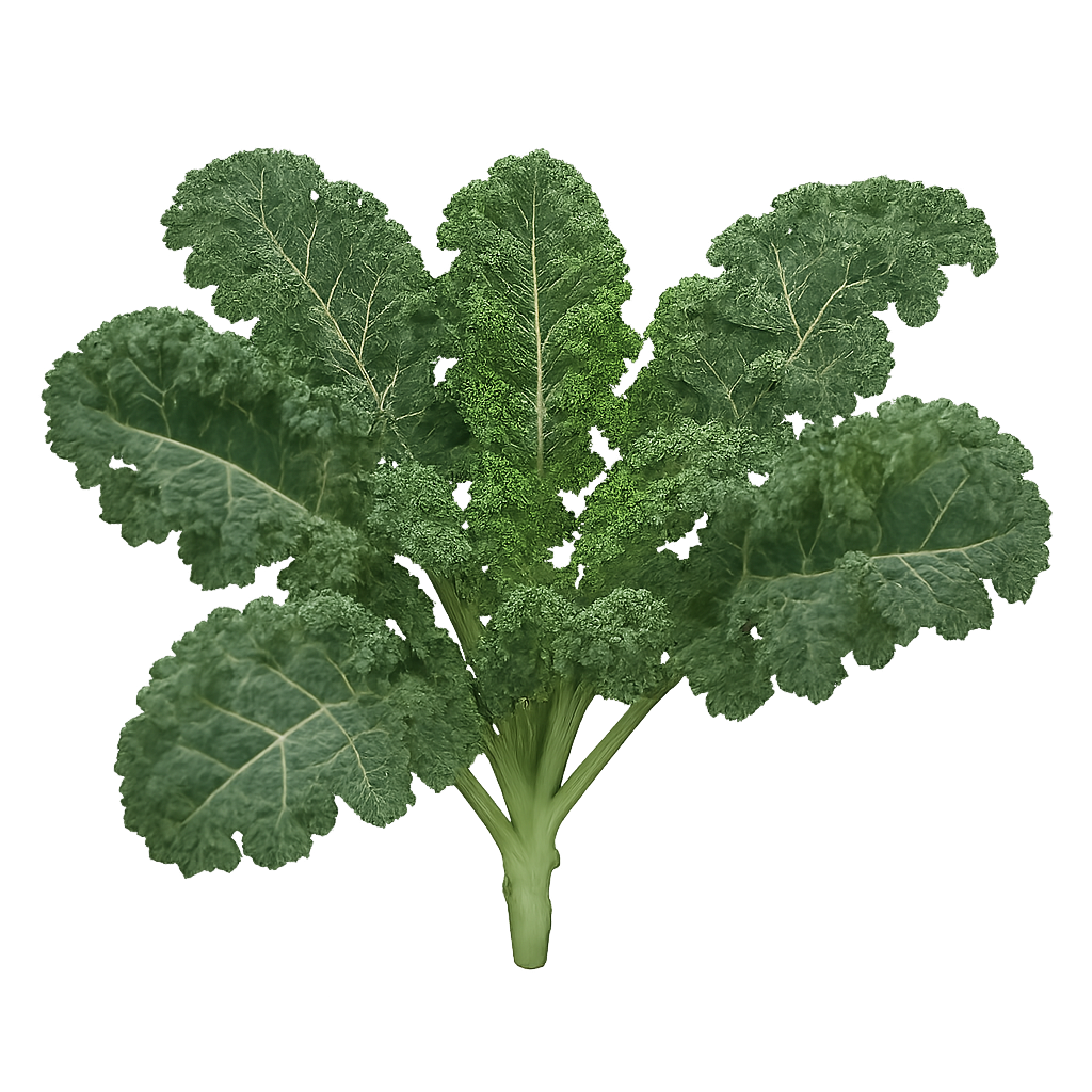 Kale