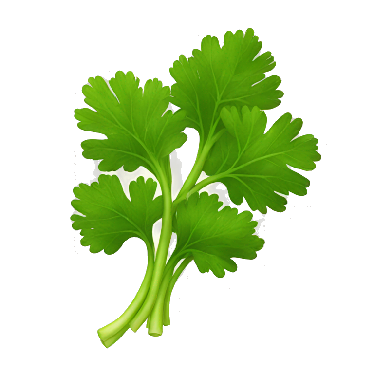 Parsley